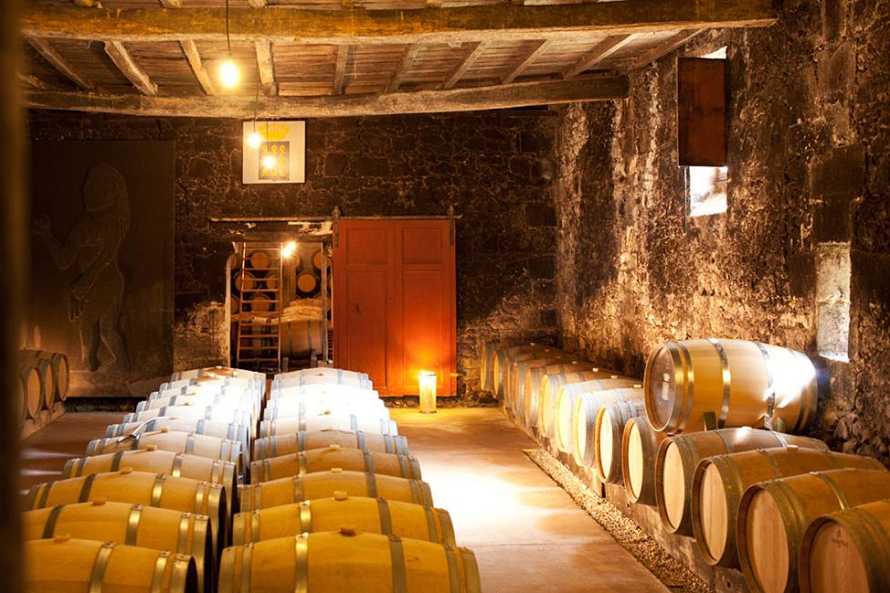 Château de Castelneau