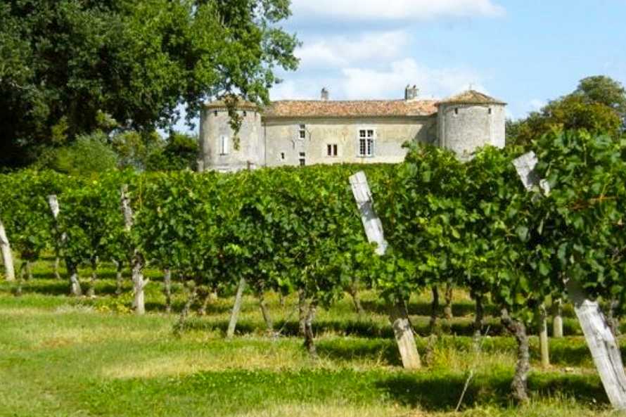 Château de Castelneau