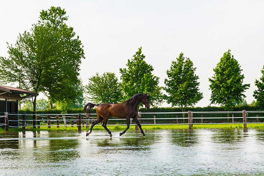 San Giacomo Horses & Agriturismo