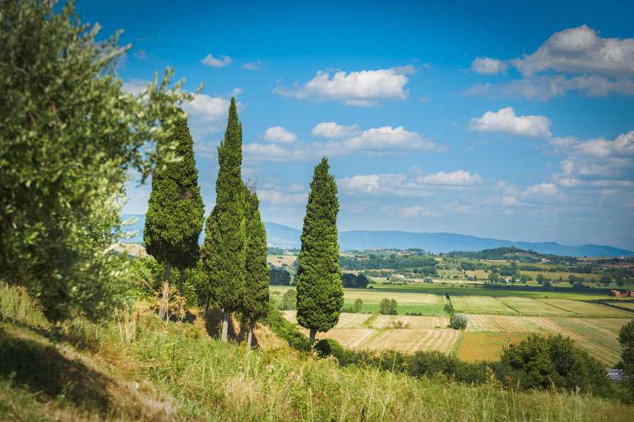Relais la Leopoldina