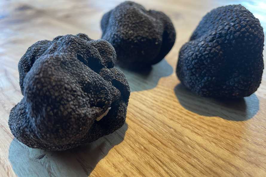 Truffe pour nos diners au restaurant