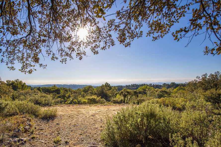 Vue depuis le Cabanon