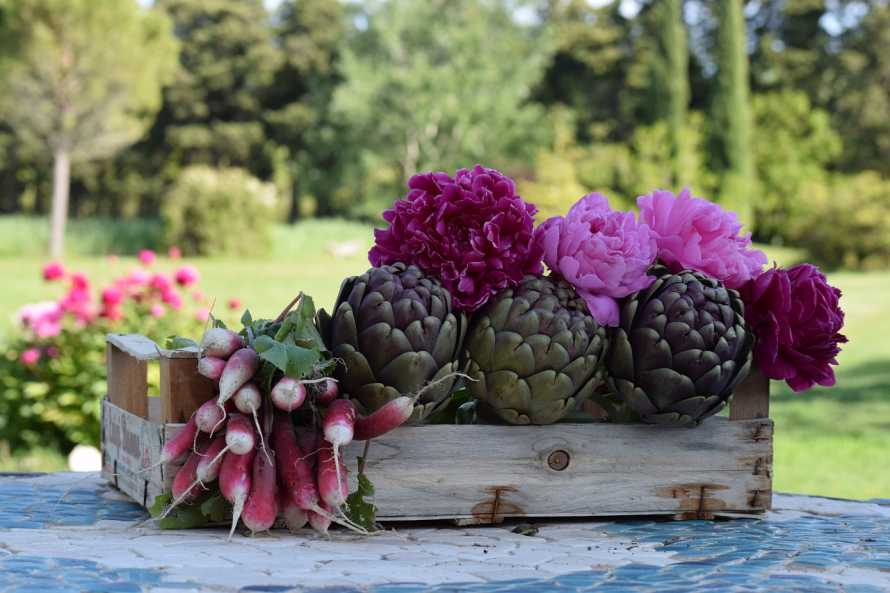 La Bastide des Amouriers en Provence