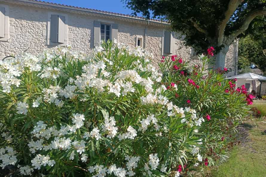 La Bastide des Amouriers