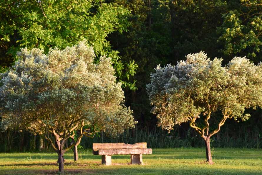 La Bastide des Amouriers en Provence