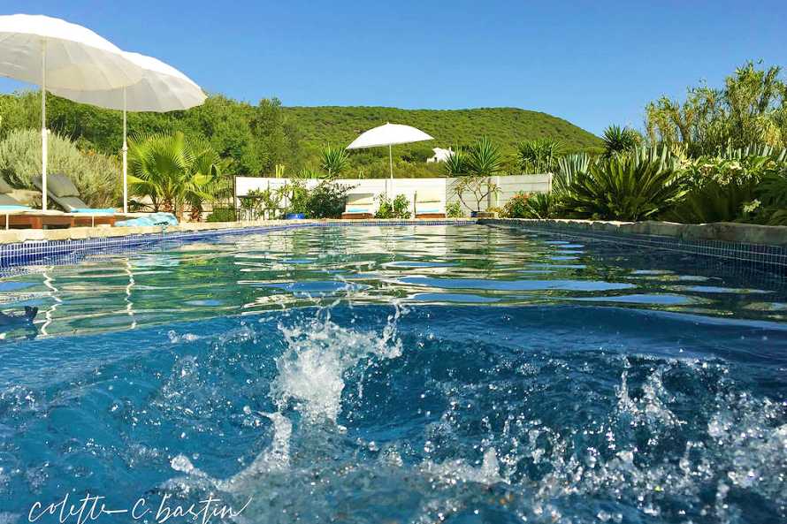 MEERLUST - LAS BALLENAS