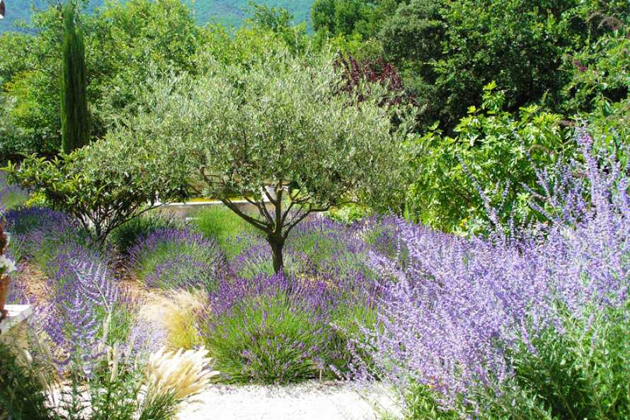 Le Clos des Lavandes