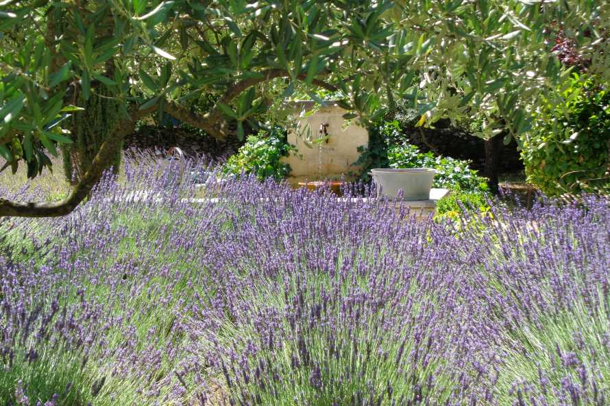 Le Clos des Lavandes