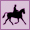 Equitation sur place Equitation sur place