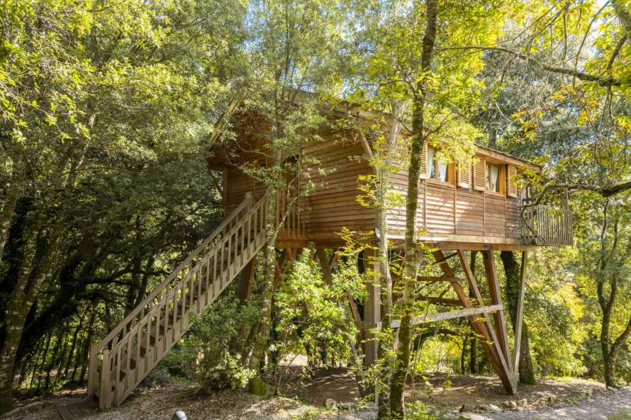 Cabane perchée dans les arbres
