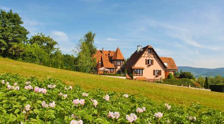 Chambres D Hotes De Charme Alsace France