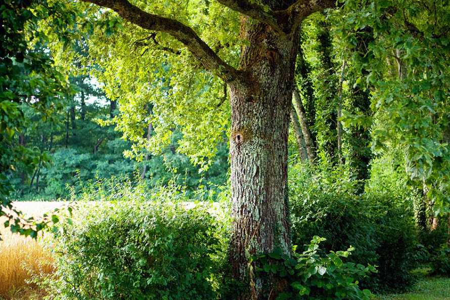 La Ferme de Marie Eug&eacute;nie
