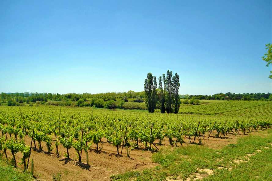 Chambres d'Hôtes de Charme | Domaine de la Roquette ...