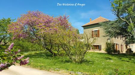 Des Histoires d'Anges