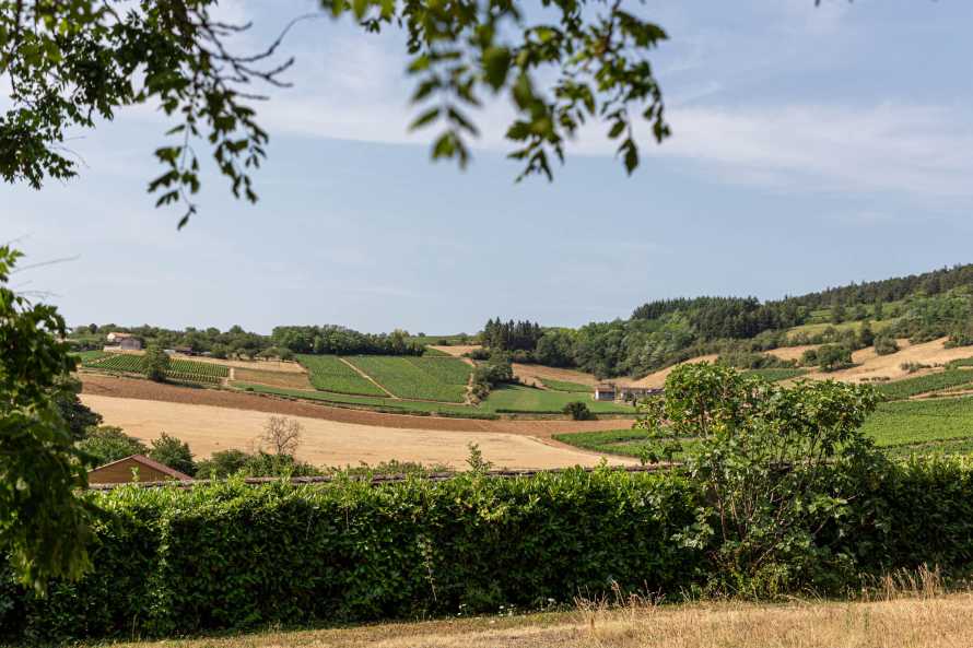 Ch&acirc;teau Le Grand Tinailler