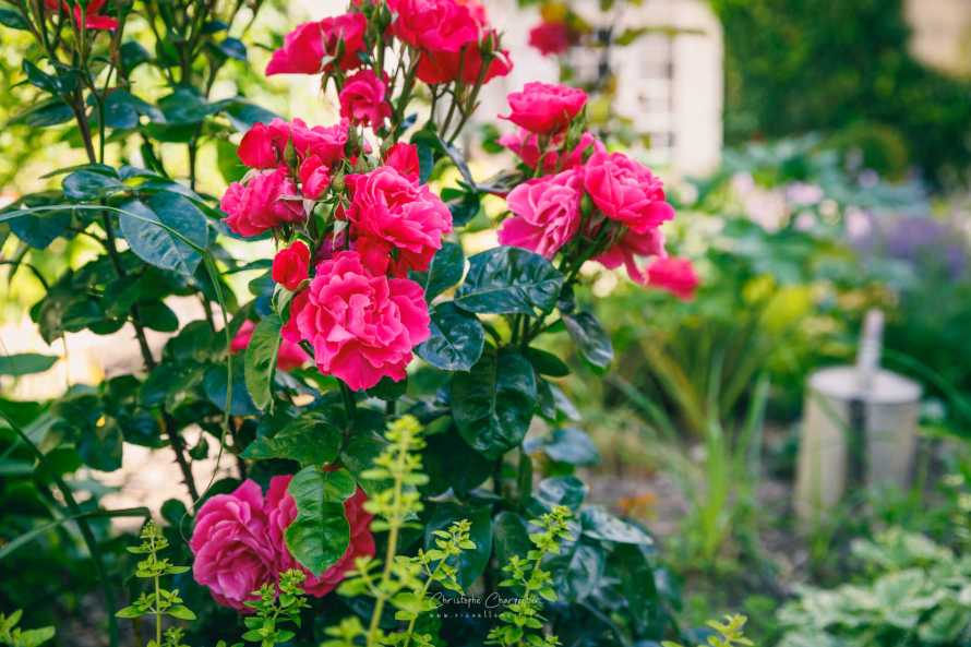 Le Prieur&eacute; Sainte Croix