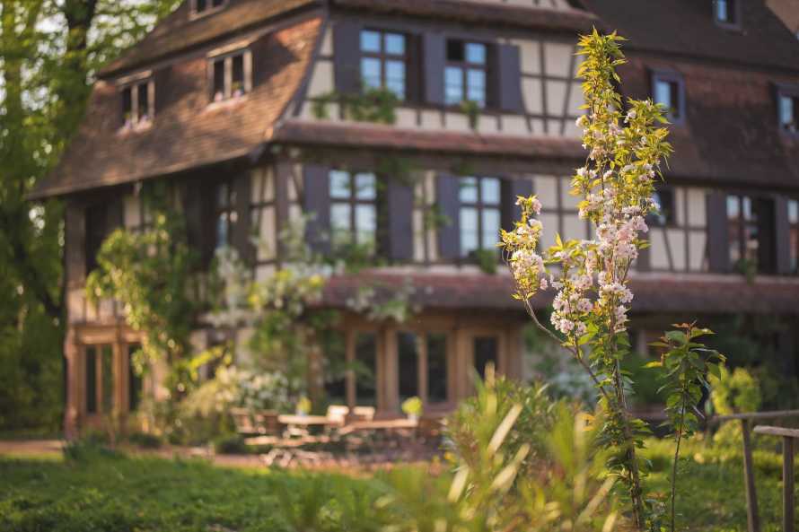 Du côté de chez Anne