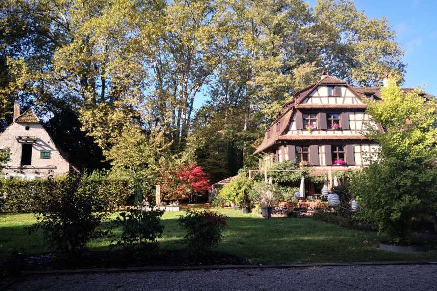 Du côté de chez Anne 