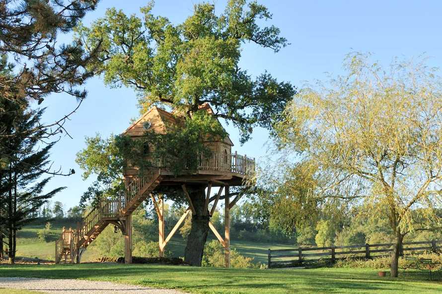 Cabane dans les arbres