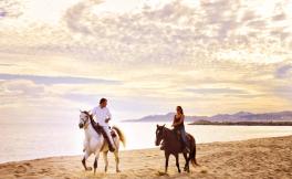 Equitation